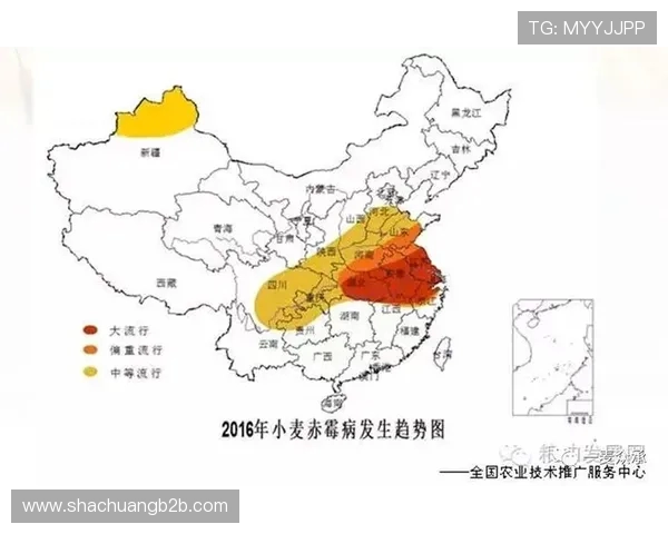 中国与菲律宾足球比赛技术统计全面分析与对比探讨