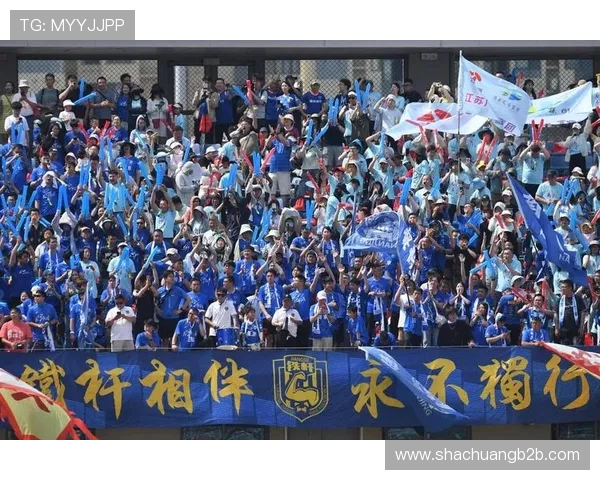 南京极限运动队实力分析与表现评估的全面数据研究