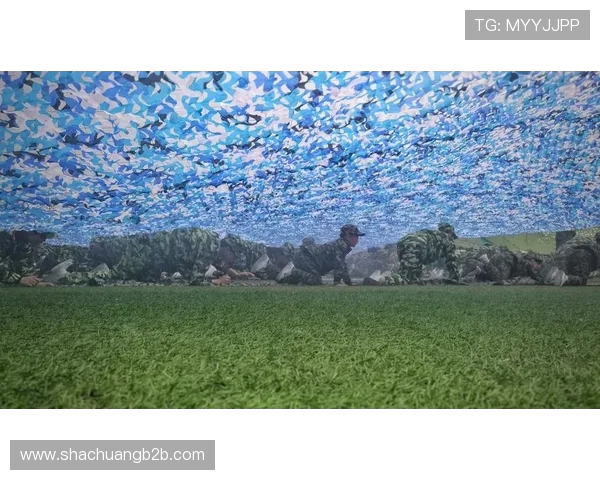 南京篮球队的奋斗历程与荣耀时刻全景纪实