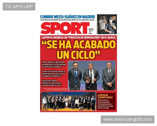 深圳排球队技术深度解析：从基本功到战术运用的全面探讨