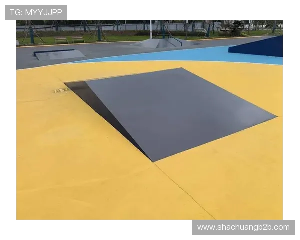 滑板文化的崛起与挑战：深入探讨杭州滑板队的训练与控制技巧