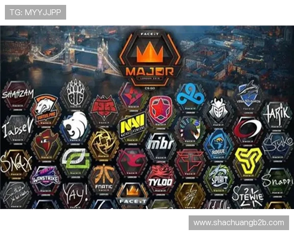 CSGO盛宴：深入解析JDG战队的默契配合与战术执行