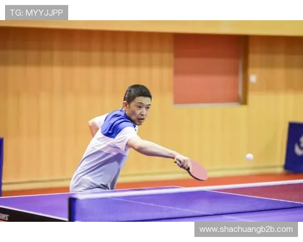 南京乒乓球队展现卓越灵活性荣登最新乒乓球灵活性排行榜前十名