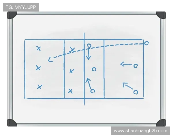 南京排球队控制打法深度分析与战术解读