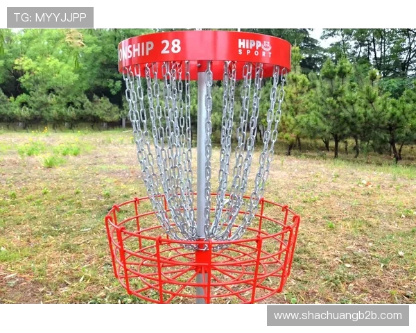 成都飞盘队引领潮流最新飞盘配合TOP10全解析