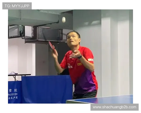 杭州乒乓球队个人能力分析与发展策略探讨