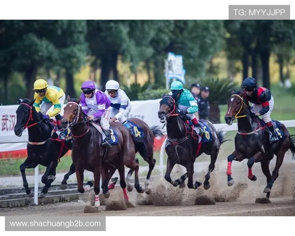 武汉足球队在联合会杯中的速度表现分析与评价